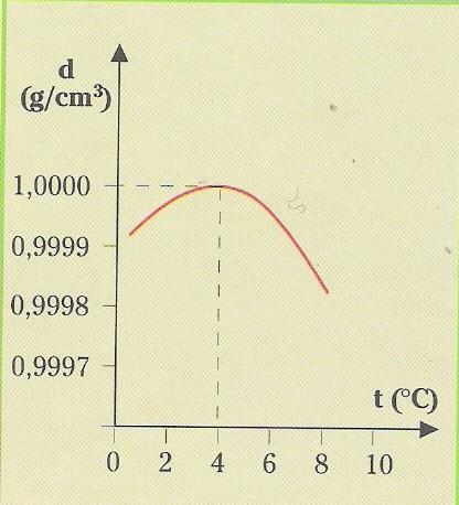 Esecuzione Riempiamo il matraccio di acqua a 0-1 C, chiudiamo il tappo, inseriamo termometro e tubicino.