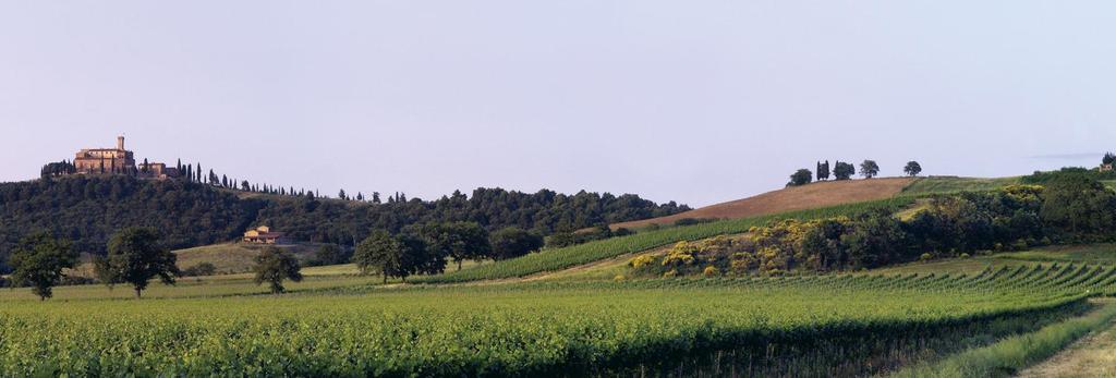 La nostra realtà La tenuta Castello Banfi, nata dal sogno della famiglia Mariani nel 1978, si estende a