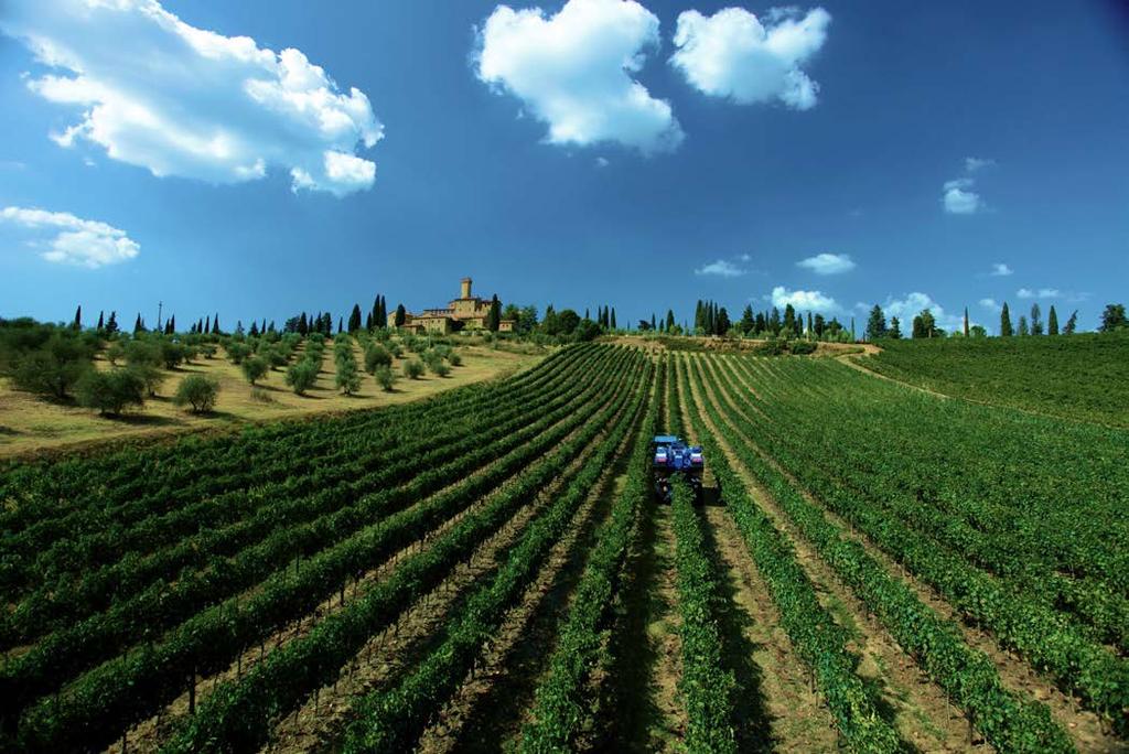 Ieri & oggi: La vendemmia Vendemmia tradizionale manuale Momento di raccolta e trasporto dell uva