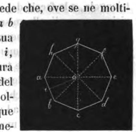 GIORNALE DI SCIENZE FISICHE E DI ARTI 203 metà di tale prodotto, cioè dalla base mol tiplicata per mezza l'altezza o viceversa.