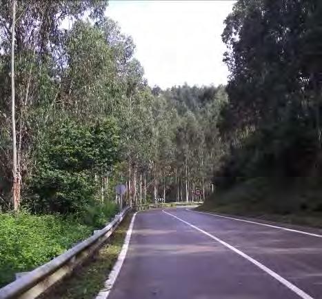 Alle 13 arrivo a Galizano, Mi addentro nel paese quanto basta per individuare un posto tranquillo per