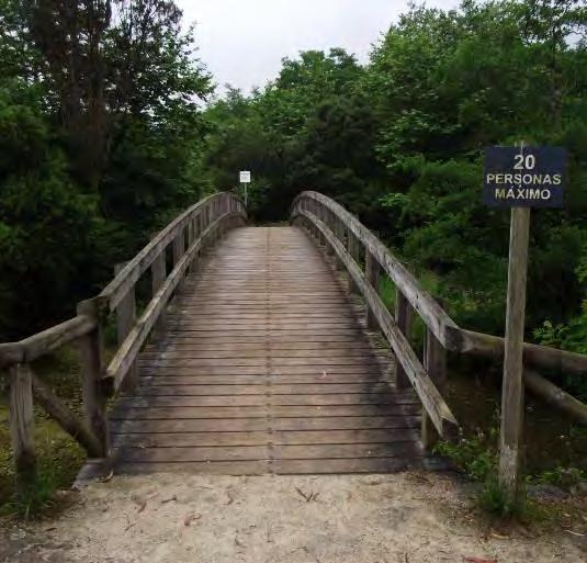 Seguendo ancora le frecce E9, varco un ponte di legno su un fiume che purtroppo, diversamente da come lo descrive la guida, ora è in secca e quindi per