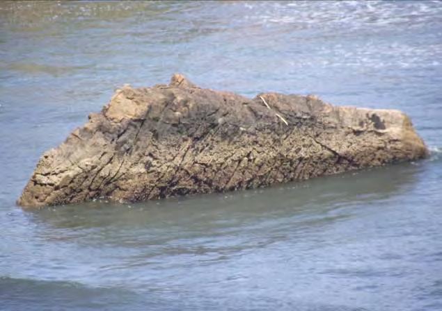 un mare ardentemente azzurro, che l accarezza con le sue onde cristalline.