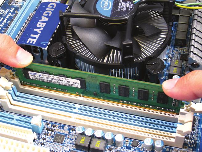 Assicurarsi di installare moduli DDR3 DIMM su questa scheda madre.