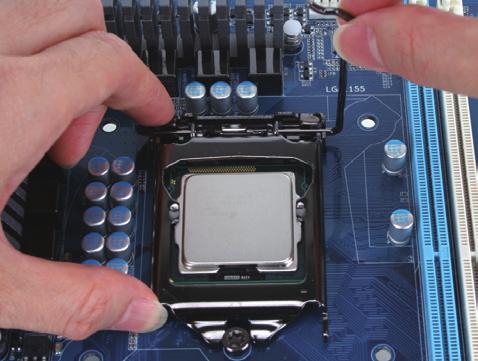 Fase 2: Rimuovere il coperchio dello socket della CPU come mostrato.