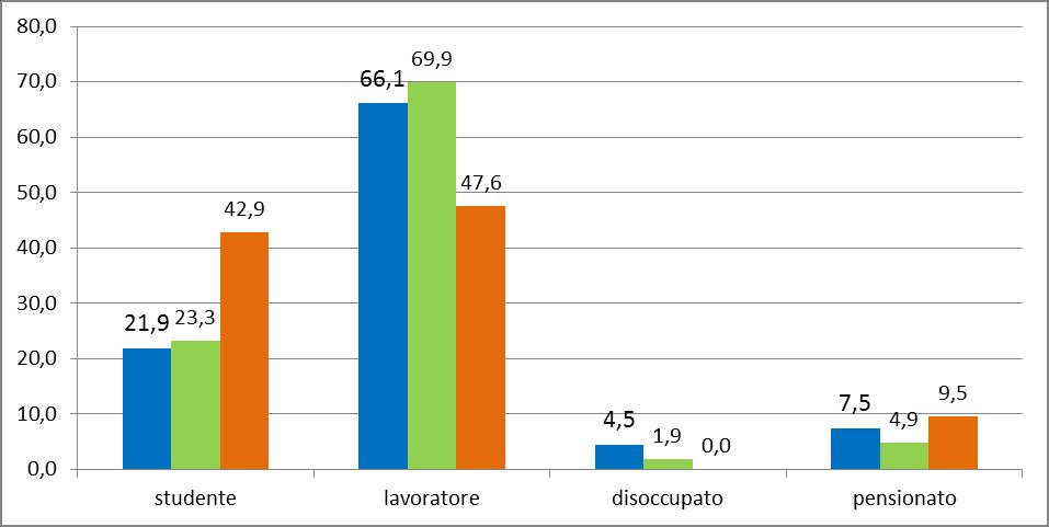 Grafico: distribuzione dei visitatori per occupazione. Valori %. Tabella: visitatori per paese di provenienza e professione. Valori Assoluti e Valori %.