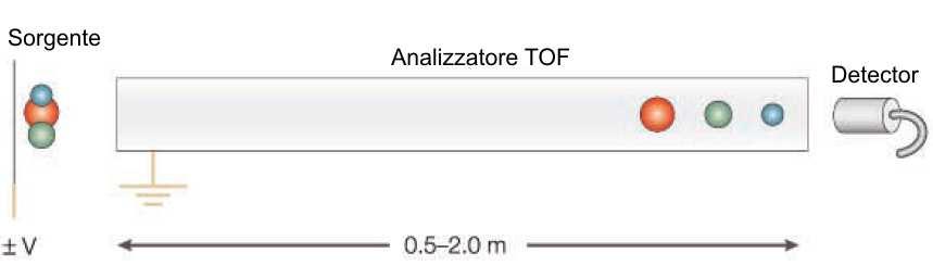 La sorgente MALDI è una sorgente ad impulsi: non genera un flusso continuo di ioni, ma una grande quantità di ioni in pochissimo tempo.