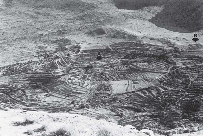 M. PICCIRILLO IL DAYR DEL DIACONO TOMMASO 1 Foto 1 Le vigne di Uyun Musa viste dalla cima di Siyagha.