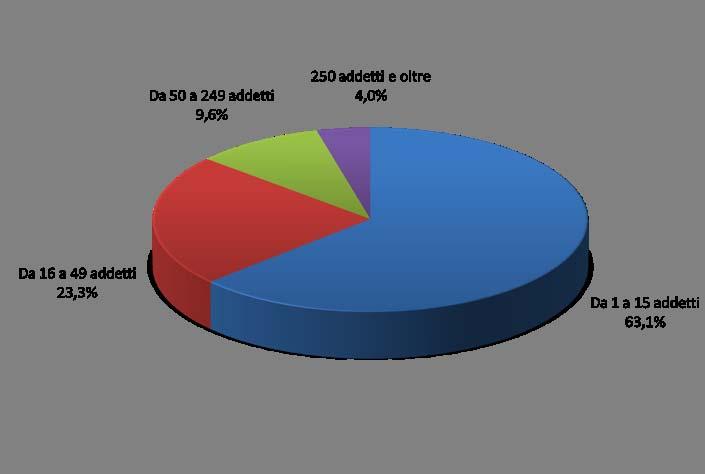 La struttura del campione Classi di addetti* (*) Le classi di addetti 50-249 e 250 e oltre sono state sovracampionate per analizzare