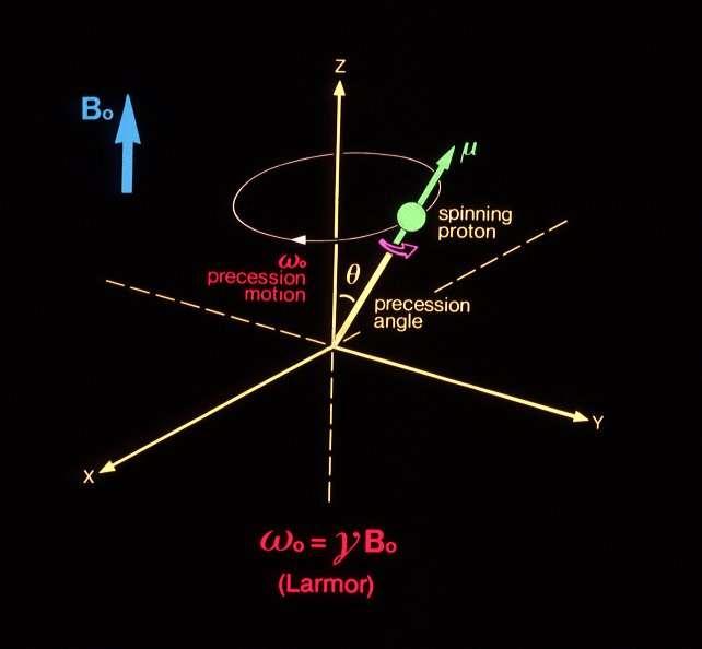 La frequenza di Larmor coincide con La frequenza di precessione che è uguale alla