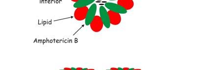 Particle size (µm): 0.12-0.