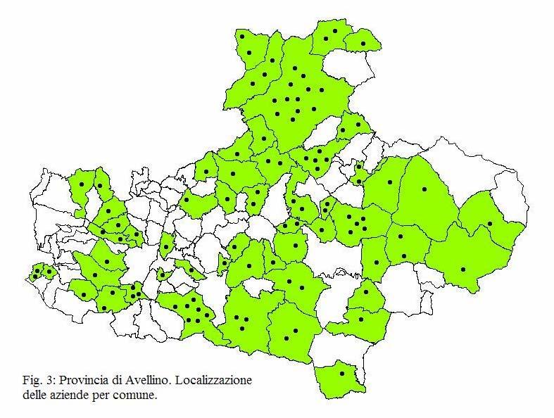 Da essa emerge, difatti che, così come avviene per la Campania in generale, praticamente inesistenti sono le aziende che offrono solo alloggio (solo due).