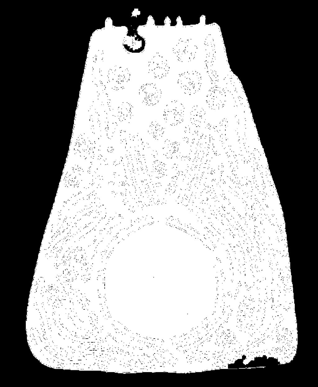 Posizione del nucleo