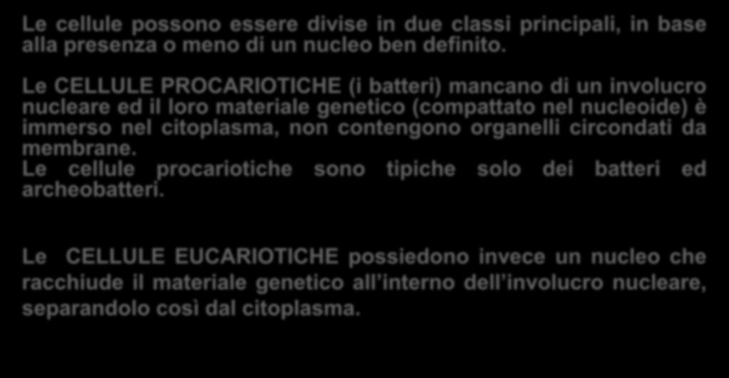 Le cellule possono essere divise in due classi principali, in base alla presenza o meno di un nucleo ben definito.