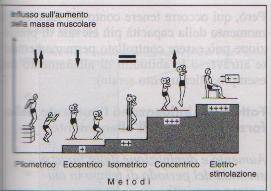 La Forza Massimale Stimolazione ipertrofica Stimolo sufficiente di durata