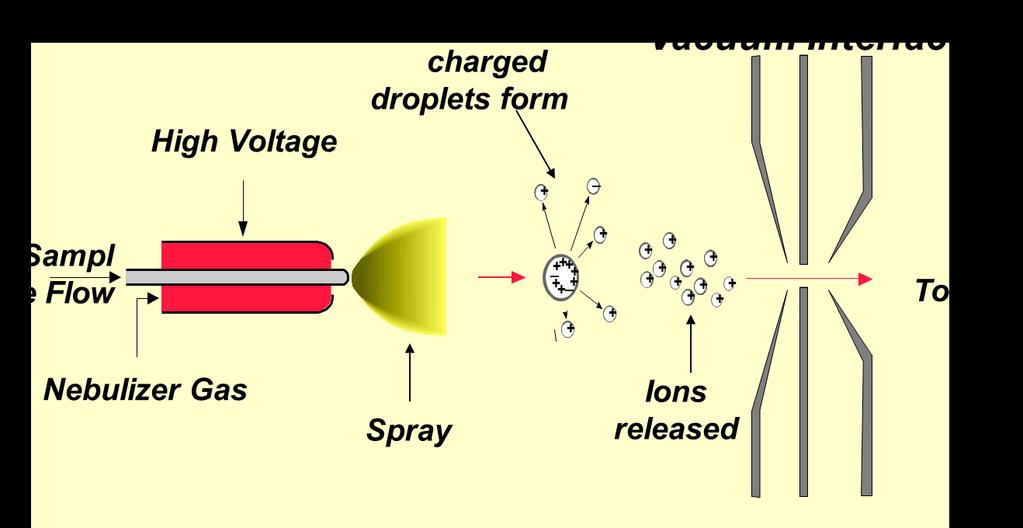 Sorgenti di ioni: Electron Spray Inonisation (ESI).