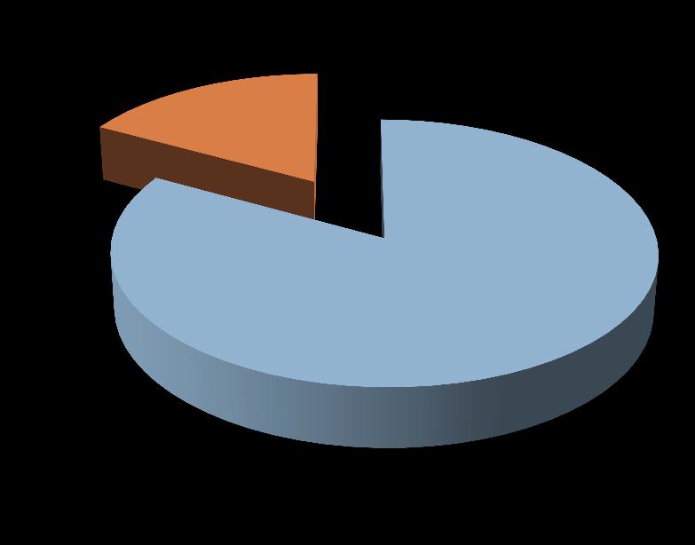 avvocato NON assistiti Anno 83% Assistiti da avvocato 17% Non Assistiti da avvocato Dal 21