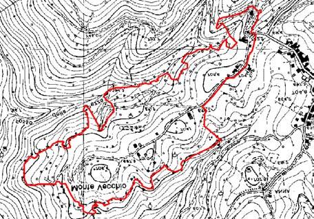 Colture temporanee o pascoli vole presenza di alberi sparsi (comunque inferiore al 10% della