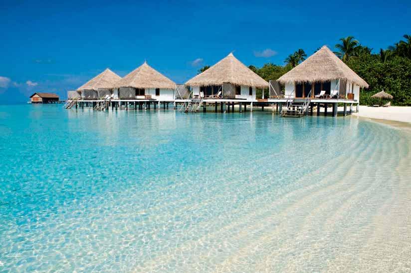 MALDIVE - ATOLLO DI ARI Bestresorts Gangehi Island Resort ATOLLO DI ARI Il respiro più autentico ed esclusivo delle Maldive Questa struttura ricettiva è commercializzata in esclusiva da Best Tours