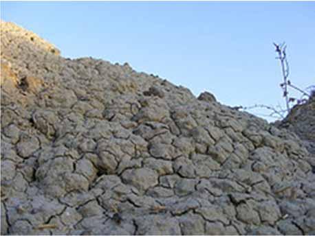 Presenti minerali argillosi (illite, caolinite, montmorillonite, ecc.