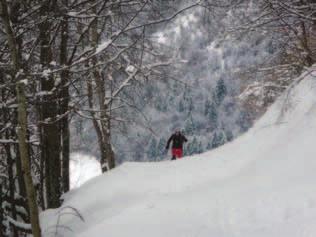 XXXIV CORSO DI SCI ALPINISMO (SA1) Direttore: Torresani Marcello (ISA) Il corso si prefigge l obbiettivo di fornire, a coloro che intendono avvicinarsi alla montagna invernale con gli sci, le