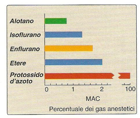 Concentrazioni alveolari