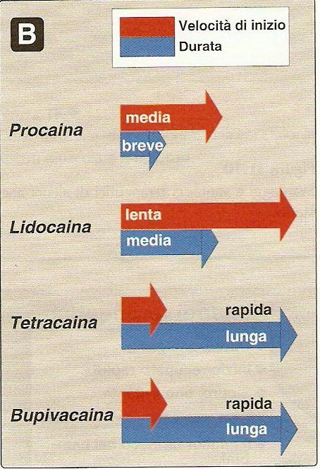 basica