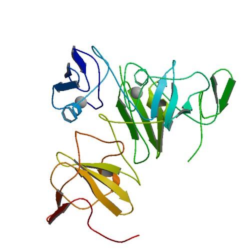 Direct-acting antivirals (DAAs) 5 NTR Structural proteins Nonstructural proteins 3 NTR Capsid Envelope Glycoproteins Metalloprotease Serine protease RNA helicase