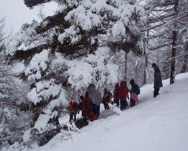 13- Corso nazionale di aggiornamento per insegnanti UNA SCUOLA COI FIOCCHI 2 -