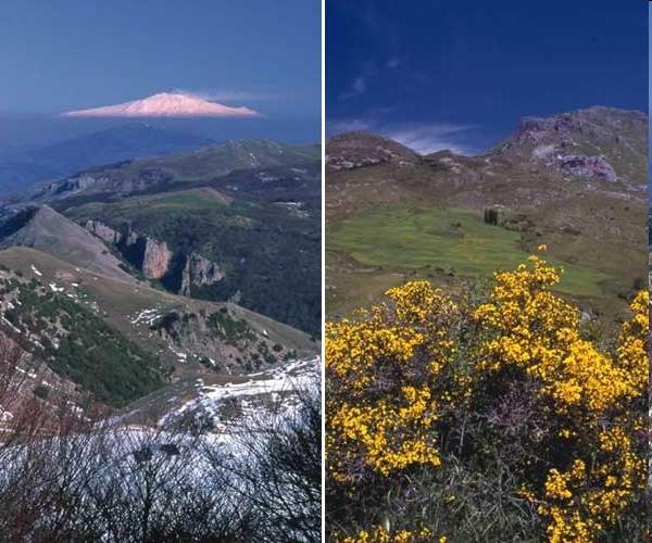 4- Corso nazionale di aggiornamento per insegnanti A SCUOLA IN MONTAGNA La lettura