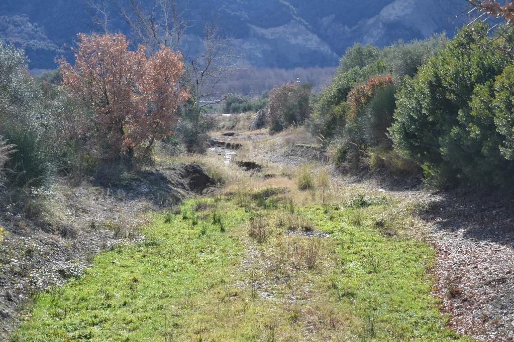 Foto 1 In ogni caso per minimizzare l impatto visivo delle briglie, si è previsto di