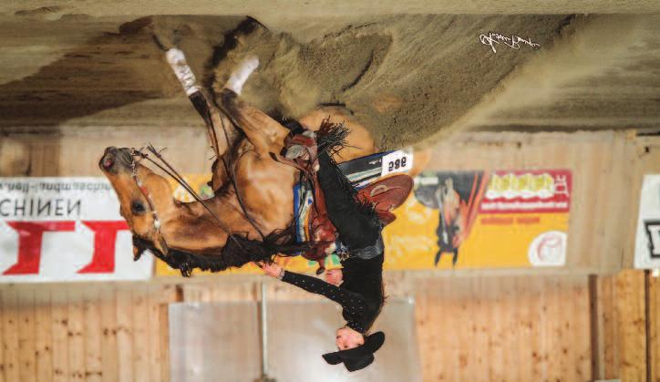 Giovanni Masi e Majestic Okie, Novice Horse Open Champions lare che tutto sia in ordine e poi andare a Cremona.