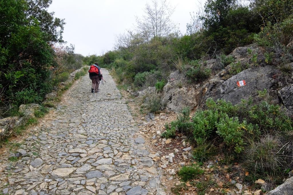 del Porcellino di Terra, un