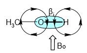 applicato. Il campo magnetico indotto scherma il nucleo dalla piena forza del campo applicato. Il campo magnetico sentito dal nucleo B = Bo - bi H legato ad atomi poco elettronegativi.