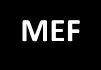 GSE: IL GRUPPO MiSE (Ministero dello Sviluppo Economico) MEF