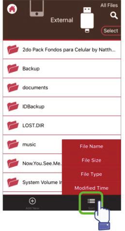 Gestione dei documenti È possibile ordinare i file per nome file, per tipo di file, per dimensione file,