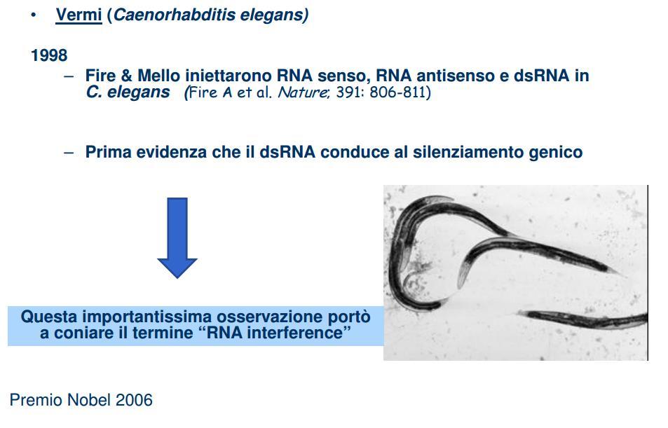 pigmento originario. Le piante che ospitavano diverse copie del gene del pigmento producevano addirittura corolle con ampie chiazze bianche.