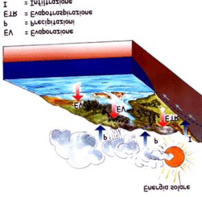 dell acqua nel globo. http://www.igg.cnr.it/geologia_e/geologia e Acqua.