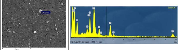 ARIA - Risultati La concentrazione di fibre di amianto è risultata inferiore al limite di rilevabilità del metodo su tutti i punti di