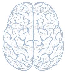 Brain Discovery Profile (BDP) - prezzo SEI Assessor 12 cr, retail 14+iva ll Brain Discovery Profile (BDP) è un