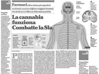 malato, dei suoi bisogni e di chi lo accompagna in tutto il suo percorso di cura (il 10%