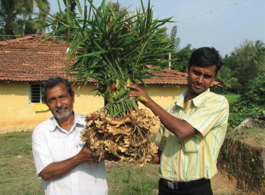 Le prime tinte certificate fair trade da Equo Garantito Le erbe tintorie che compongono le tinte Hennetica sono coltivate in India dalla cooperativa Phalada Le erbe e importate da altraqualità nel