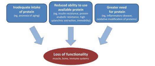 Inadeguato apporto proteico Resistenza
