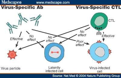 Il virus viene attaccato in modo diverso quando è fuori o dentro la