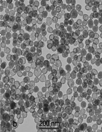 Nanosistemi intesi di nanoparticelle di silice con il metodo sol-gel i TE intesi di tiber NH4H/H2 EtH, 25 C, 24 h i2 np Nel caso di nanoparticelle
