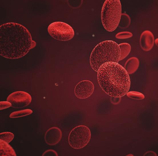 Focus su qualità e facilità d uso Cell Saver Elite fornisce ai pazienti il loro stesso sangue fresco lavato, consentendo di ridurre il rischio di trasfusioni allogeniche e contribuendo al contempo