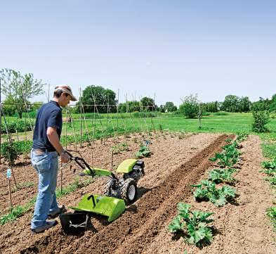 La profondità di fresatura si regola agendo sulla comoda leva esterna al cofano fresa.