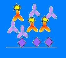 I METODI DI SCREENING ELISA Metodi interni di prova validati ed accreditati per le determinazioni