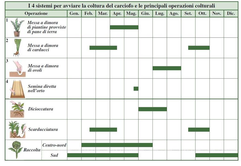 Schema da: VITA