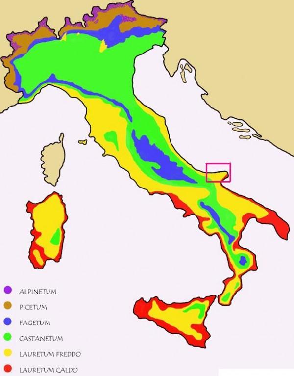 - Conoscenza dei dati meteo climatici: I dati di